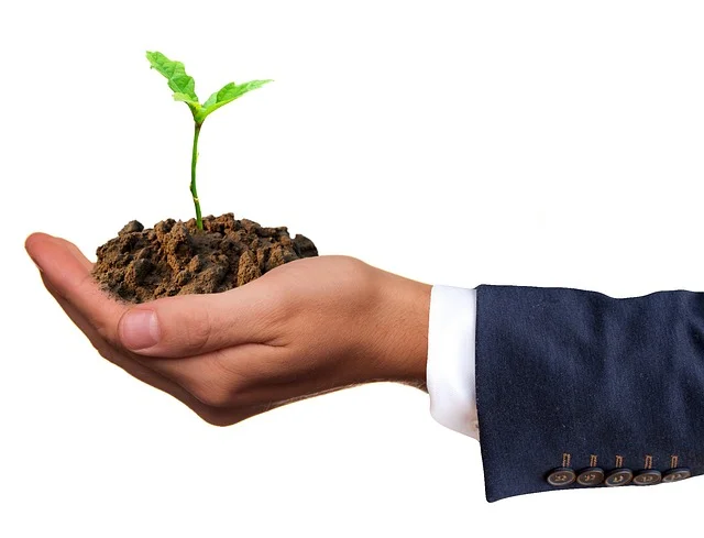 sustainable growth